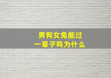 男狗女兔能过一辈子吗为什么