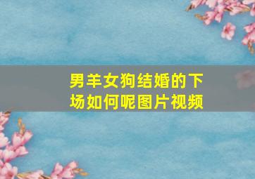 男羊女狗结婚的下场如何呢图片视频