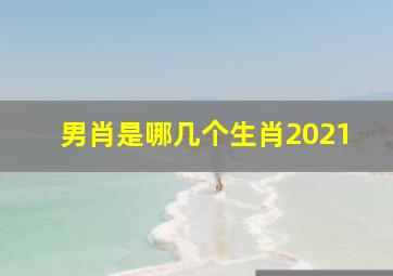 男肖是哪几个生肖2021