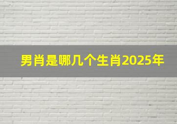 男肖是哪几个生肖2025年