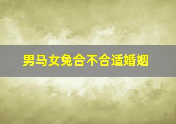 男马女兔合不合适婚姻