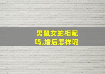 男鼠女蛇相配吗,婚后怎样呢