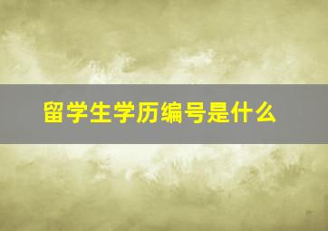 留学生学历编号是什么