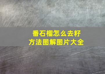 番石榴怎么去籽方法图解图片大全