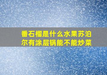 番石榴是什么水果苏泊尔有涂层锅能不能炒菜