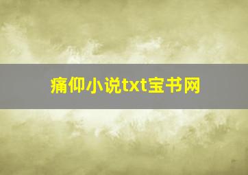 痛仰小说txt宝书网