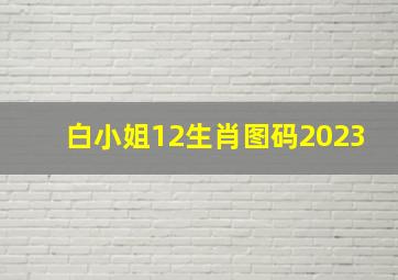 白小姐12生肖图码2023