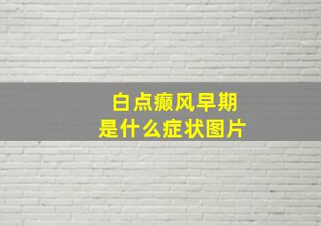 白点癫风早期是什么症状图片