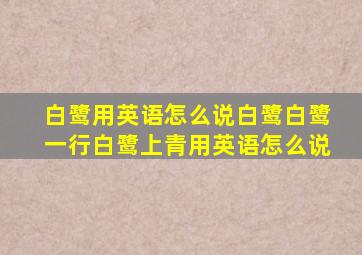 白鹭用英语怎么说白鹭白鹭一行白鹭上青用英语怎么说