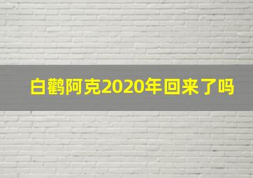 白鹳阿克2020年回来了吗