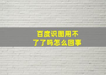 百度识图用不了了吗怎么回事