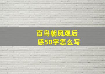 百鸟朝凤观后感50字怎么写