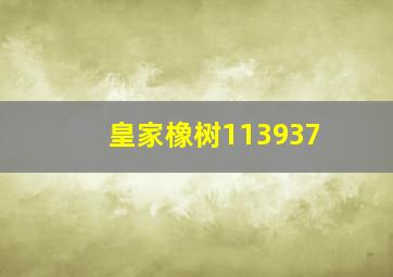 皇家橡树113937