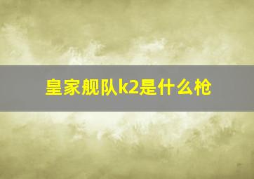 皇家舰队k2是什么枪