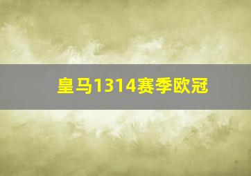 皇马1314赛季欧冠