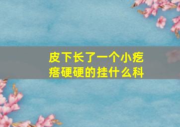 皮下长了一个小疙瘩硬硬的挂什么科