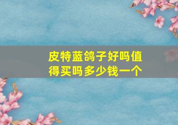 皮特蓝鸽子好吗值得买吗多少钱一个