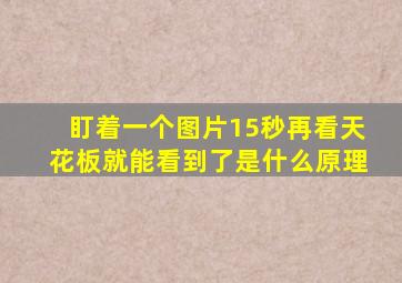 盯着一个图片15秒再看天花板就能看到了是什么原理