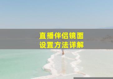 直播伴侣镜面设置方法详解