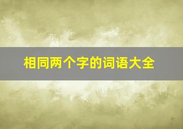 相同两个字的词语大全