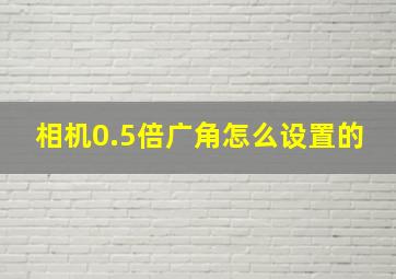 相机0.5倍广角怎么设置的