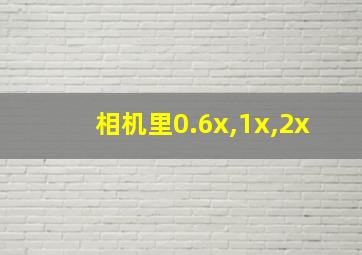 相机里0.6x,1x,2x