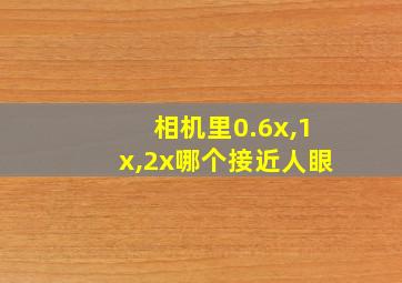 相机里0.6x,1x,2x哪个接近人眼