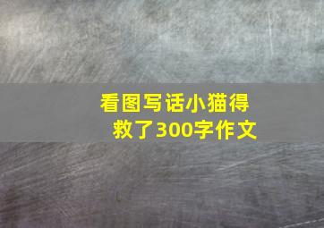 看图写话小猫得救了300字作文