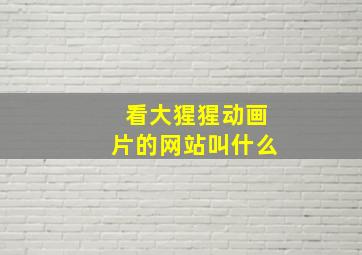 看大猩猩动画片的网站叫什么