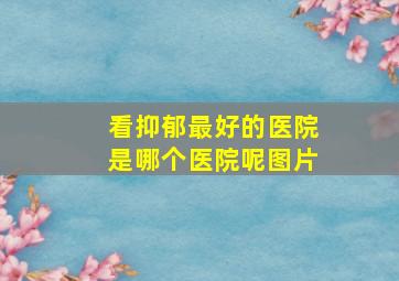 看抑郁最好的医院是哪个医院呢图片