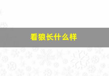 看狼长什么样