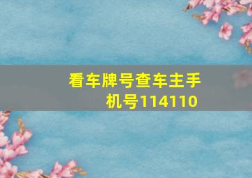 看车牌号查车主手机号114110