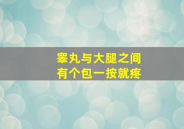 睾丸与大腿之间有个包一按就疼