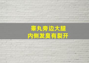 睾丸旁边大腿内侧发臭有裂开