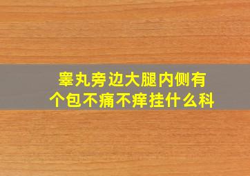 睾丸旁边大腿内侧有个包不痛不痒挂什么科