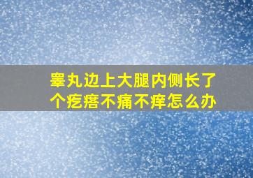 睾丸边上大腿内侧长了个疙瘩不痛不痒怎么办