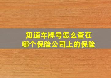 知道车牌号怎么查在哪个保险公司上的保险