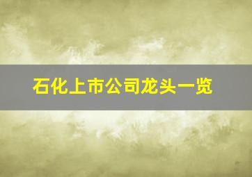 石化上市公司龙头一览