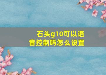 石头g10可以语音控制吗怎么设置