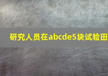 研究人员在abcde5块试验田