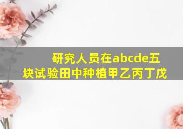 研究人员在abcde五块试验田中种植甲乙丙丁戊