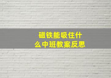 磁铁能吸住什么中班教案反思