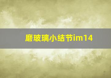 磨玻璃小结节im14