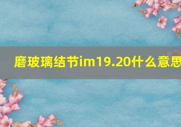 磨玻璃结节im19.20什么意思