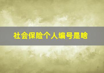 社会保险个人编号是啥