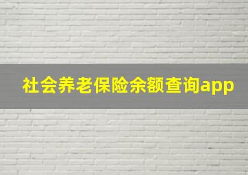 社会养老保险余额查询app