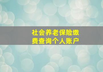 社会养老保险缴费查询个人账户