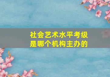 社会艺术水平考级是哪个机构主办的