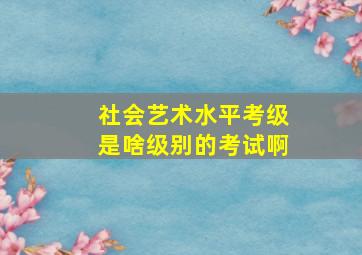 社会艺术水平考级是啥级别的考试啊