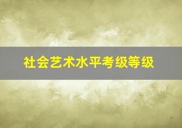 社会艺术水平考级等级